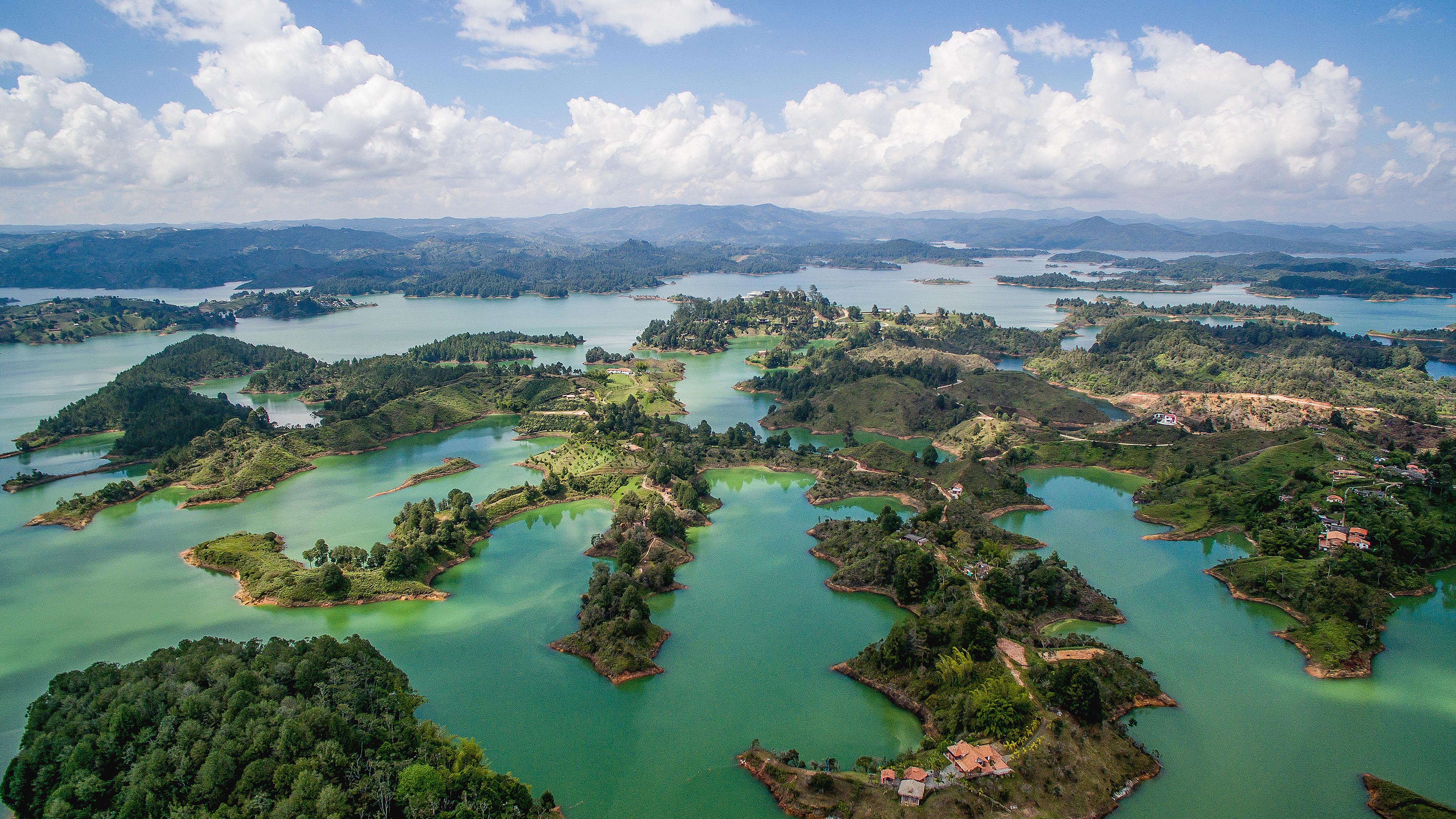 Licuadora