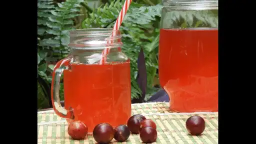 Refresco Camu-Camu Personal