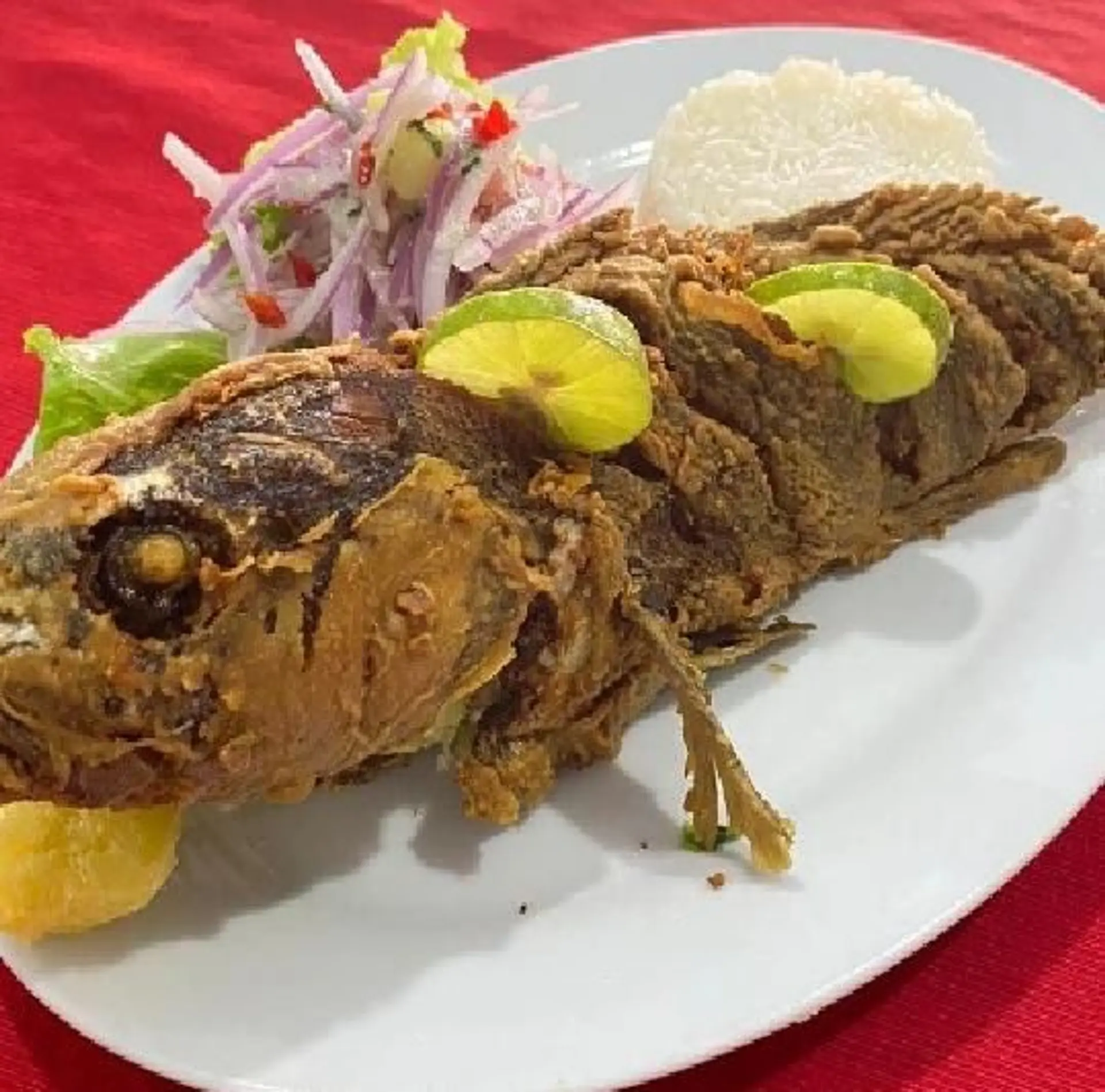 Cabrilla Frita