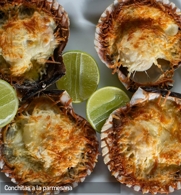 Conchas a la Parmesana